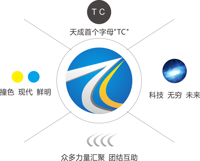 【湖南百色廣告】天成新宇網絡科技logo詮釋